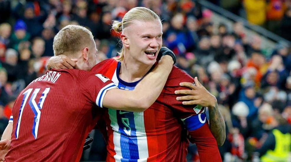 Kaiyun- 哈兰德2021 